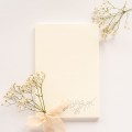 notebook_7948.jpg