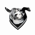 Black Canvas_Silk SCarf (6)b.jpg